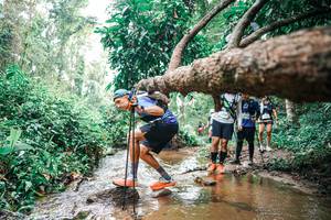 BIB: 
                            <button type="button" onclick="openModal(25375817)" class="btn btn-primary btn-sm float-right btn-popup" data-toggle="modal" data-target=".modal-high-quality">
                        <i class="fas fa-shopping-cart"></i> Add to Cart
                    </button>
                                            <button type="button" onclick="isThisMe(25375817, true)" class="btn btn-success btn-sm float-right btn-popup btn-isme hidden" data-toggle="tooltip" data-placement="bottom" title="นี่คือรูปของคุณใช่ไหม คลิกที่นี่เพื่อเอาเข้าอัลบั้ม">
                        <i class="fas fa-plus"></i> Add to album
                    </button>
                    <button type="button" onclick="isThisMe(25375817, false)" class="btn btn-warning btn-sm float-right btn-popup btn-isnotme hidden">
                        <i class="fas fa-ban"></i> Remove from album
                    </button>